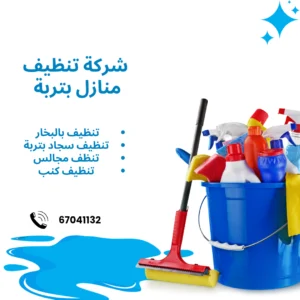 شركة تنظيف منازل بتربة