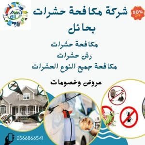 شركة مكافحة حشرات بحائل 0566866541 خصم 50% من رزق كلين 2 شركة مكافحة حشرات بحائل