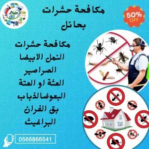 شركة مكافحة حشرات بحائل 0566866541 خصم 50% من رزق كلين 3 شركة مكافحة حشرات بحائل