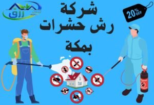 شركة رش حشرات بمكة 