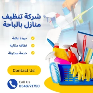 شركة تنظيف منازل بالباحة